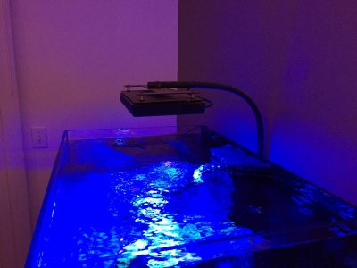 IMG_5111.jpg