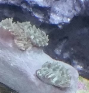 2016-02-09 17.23.07.jpg