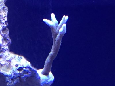 IMG_3866.JPG