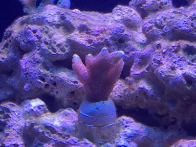 IMG_3868.jpg
