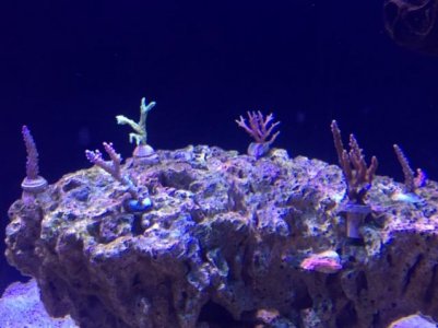 IMG_3872.jpg