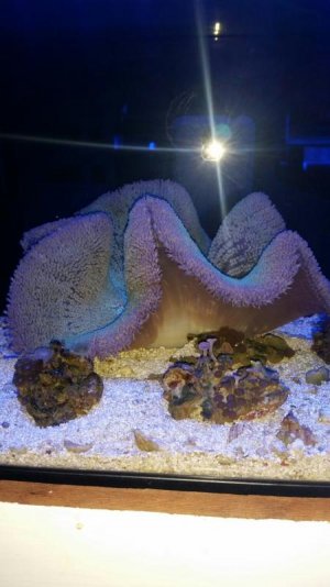 2016-03-04 13.41.35.jpg