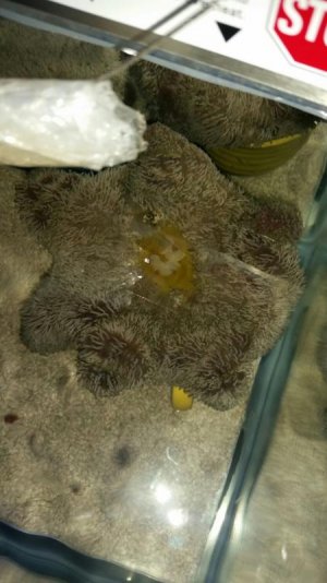 2016-03-04 13.41.03.jpg