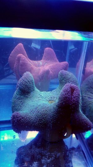 2016-03-04 13.39.33.jpg