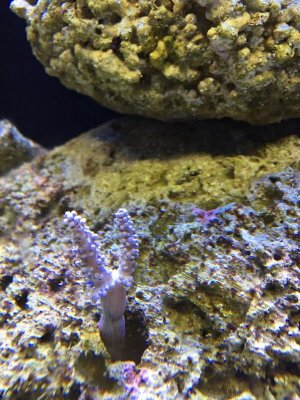 IMG_0007.jpg IMG_0007.jpg