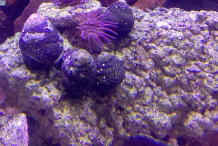 2010-03-24 20.17.46.jpg