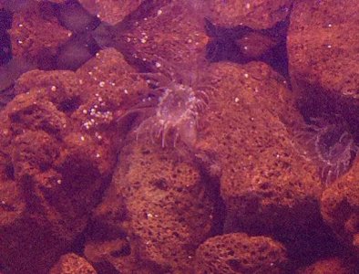 2010-03-24 20.19.00.jpg