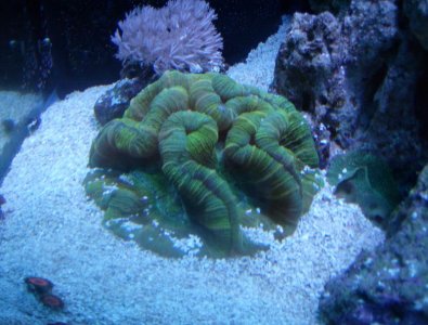 HPIM0363.jpg