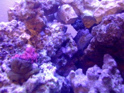 securedownload (19).jpg