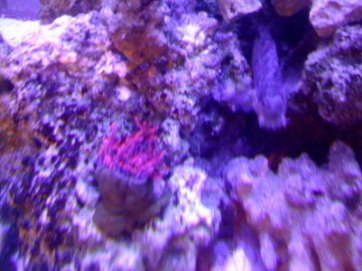 securedownload (21).jpg