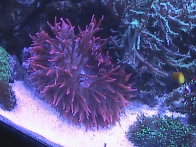 easter day pics 013.jpg