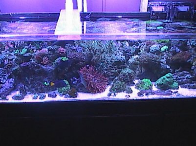 easter day pics 019.jpg