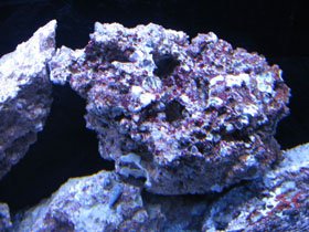 IMG_0622.jpg
