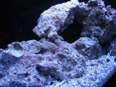 IMG_0619.jpg