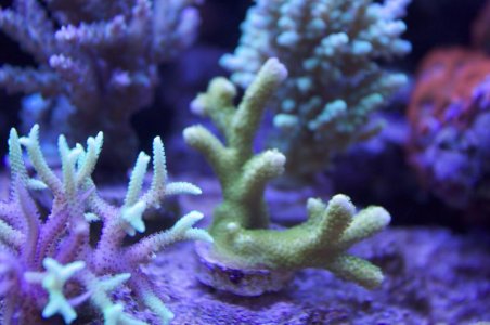 IMG_0565.jpg