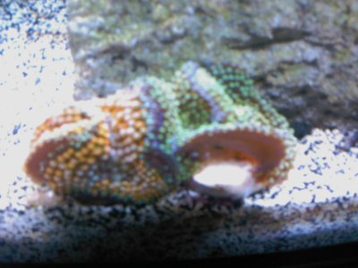 IMAG0059.jpg