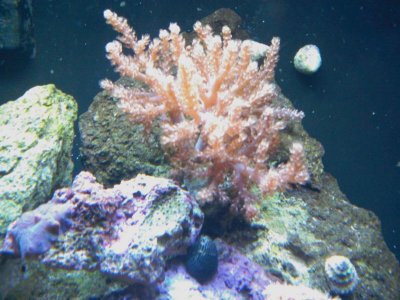 IMAG0064.jpg