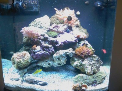 IMAG0069.jpg