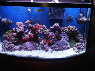 IMG00011-20100305-1334.jpg