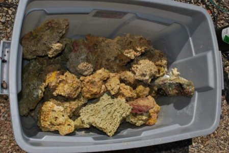 DSC_4498.jpg