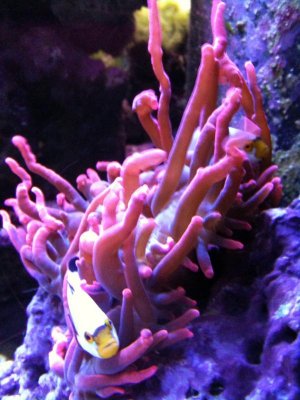 IMG_0370.jpg