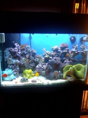 photo(2).jpg