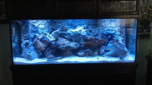 aquarium.jpg