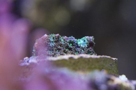 IMG_8361.jpg