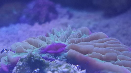 20160306_154906.jpg