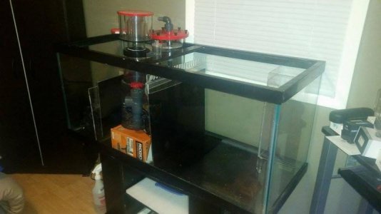 12713946_1226628877351963_64876571_n (1).jpg