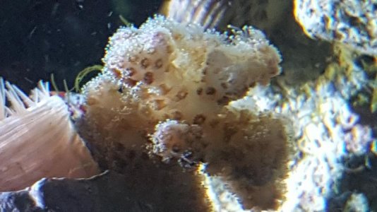 20160308_215327.jpg