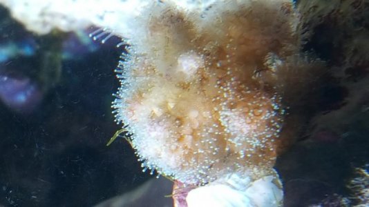 20160308_214515.jpg
