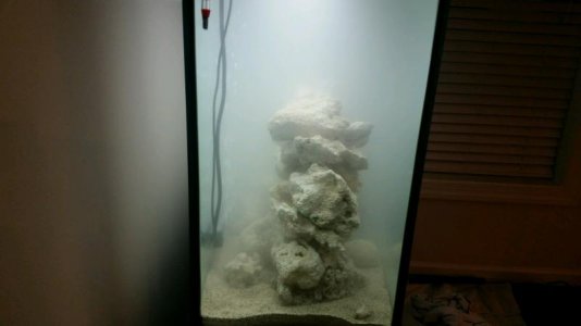 20160316_214404 (1).jpg