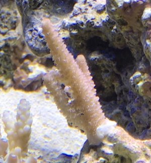 IMG_0616.jpg IMG_0616.jpg