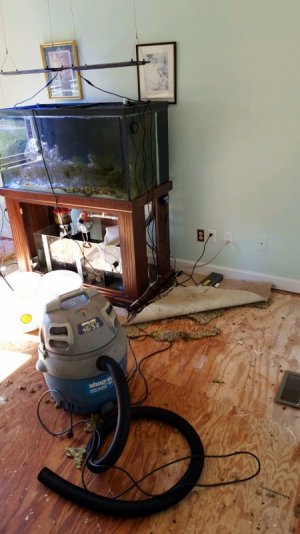 20160207_125312 (1).jpg