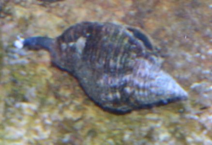 IMG_0208.jpg
