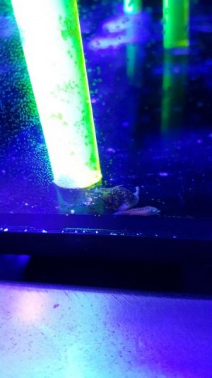 20160309_174240.jpg