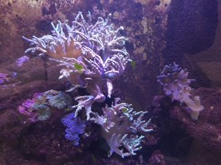 IMG_2775.JPG