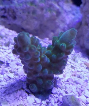 2016-03-18 00.15.13.jpg