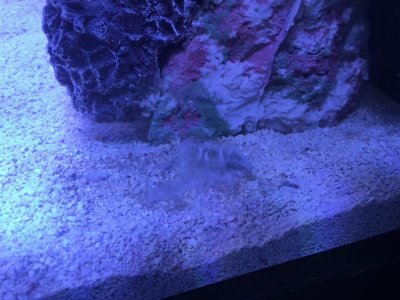 20160311_165951347_iOS (1024x768).jpg