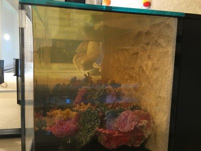 20160309_194639626_iOS (768x1024).jpg