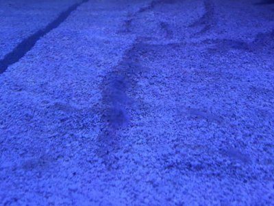 20160311_170005557_iOS (1024x768).jpg