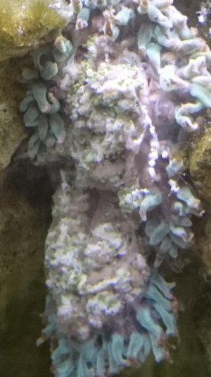 2016-03-11 17.02.07.jpg