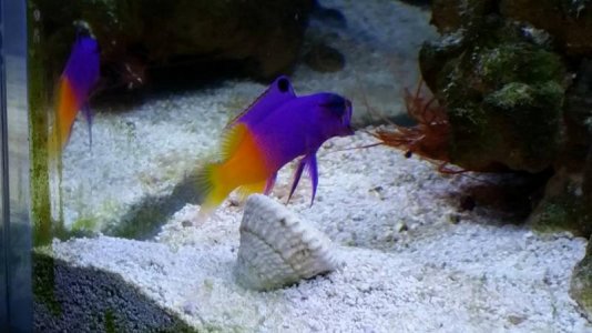 cleaning station.jpg