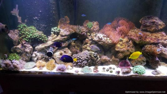 2016-03-13 18.35.27.jpg