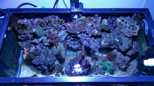 2016-03-12 09.38.02.jpg