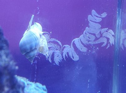 20160319_120232 (2).jpg