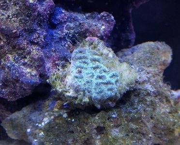 20160319_120335 (2).jpg