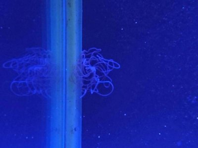 uploadfromtaptalk1457827906571.jpg uploadfromtaptalk1457827906571.jpg