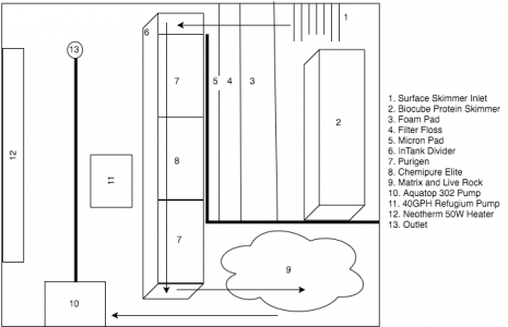 Untitled Diagram.png